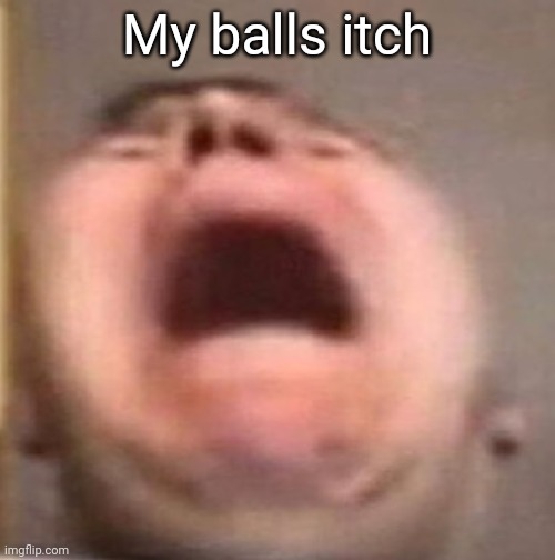 . | My balls itch | made w/ Imgflip meme maker