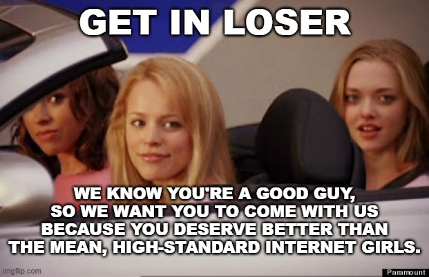 Yeah, if only this could happen | GET IN LOSER; WE KNOW YOU'RE A GOOD GUY, SO WE WANT YOU TO COME WITH US BECAUSE YOU DESERVE BETTER THAN THE MEAN, HIGH-STANDARD INTERNET GIRLS. | image tagged in get in loser | made w/ Imgflip meme maker