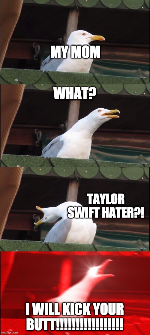MY MOM WHAT? TAYLOR SWIFT HATER?! I WILL KICK YOUR BUTT!!!!!!!!!!!!!!!!! | image tagged in memes,inhaling seagull | made w/ Imgflip meme maker