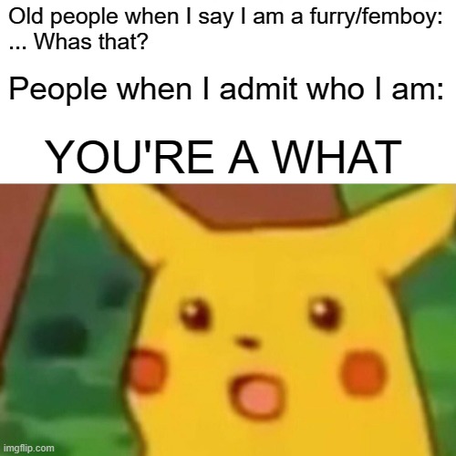 Surprised Pikachu | Old people when I say I am a furry/femboy:
... Whas that? People when I admit who I am:; YOU'RE A WHAT | image tagged in memes,surprised pikachu | made w/ Imgflip meme maker