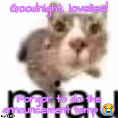 miau | Goodnight, lovelies! Forgor to do the announcement temp 😭 | image tagged in miau,lovelies | made w/ Imgflip meme maker