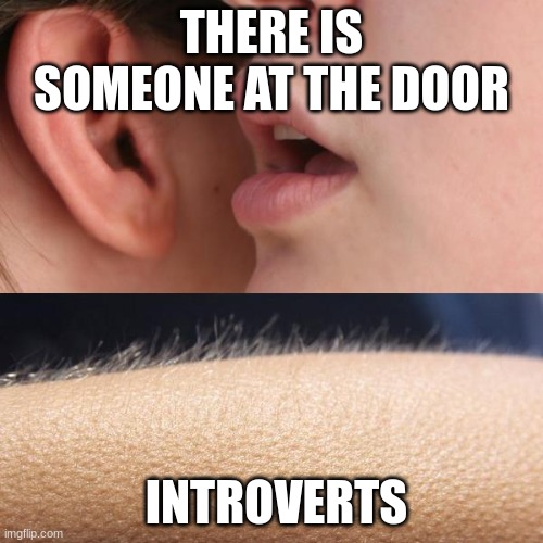 Whisper and Goosebumps | THERE IS SOMEONE AT THE DOOR; INTROVERTS | image tagged in whisper and goosebumps | made w/ Imgflip meme maker