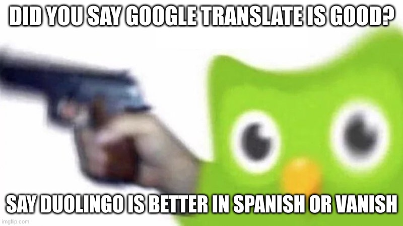 duolingo gun | DID YOU SAY GOOGLE TRANSLATE IS GOOD? SAY DUOLINGO IS BETTER IN SPANISH OR VANISH | image tagged in duolingo gun | made w/ Imgflip meme maker