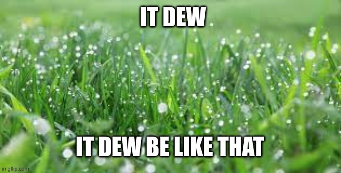 To any situation really(This isn't gonna make it to the front page :') | IT DEW; IT DEW BE LIKE THAT | image tagged in memes,funny,well yes but actually no,bad pun,grass,i never know what to put for tags | made w/ Imgflip meme maker