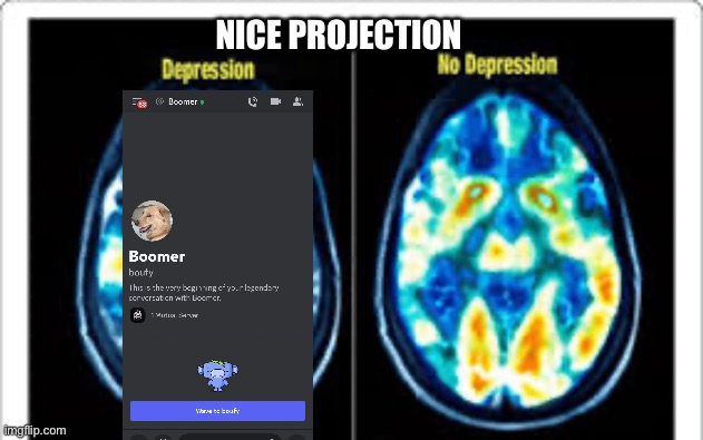 Boufy/Boomer Has Depression on daddy discord server | NICE PROJECTION | image tagged in lmao | made w/ Imgflip meme maker