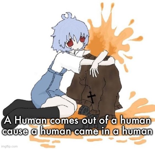 rei | A Human comes out of a human cause a human came in a human | image tagged in rei | made w/ Imgflip meme maker