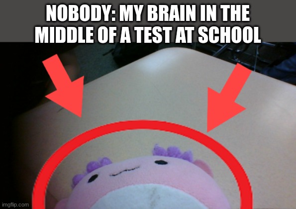 Testing this template, its new and I made it | NOBODY: MY BRAIN IN THE MIDDLE OF A TEST AT SCHOOL | image tagged in axolotl circle,first time using this template | made w/ Imgflip meme maker