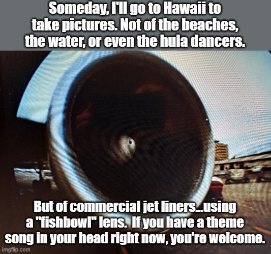 Not all of you will get this. | Someday, I'll go to Hawaii to take pictures. Not of the beaches, the water, or even the hula dancers. But of commercial jet liners...using a "fishbowl" lens.  If you have a theme song in your head right now, you're welcome. | image tagged in hawaii | made w/ Imgflip meme maker