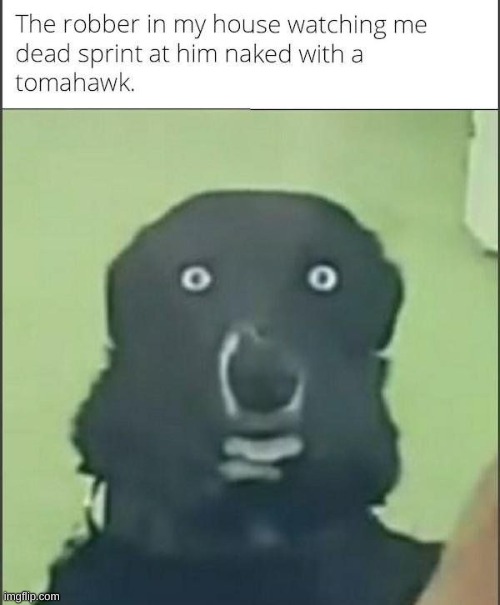 oh no | image tagged in idk | made w/ Imgflip meme maker