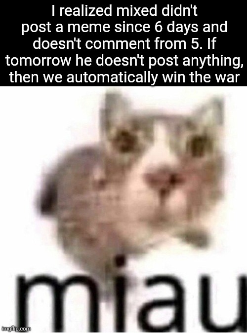 What are you guys thoughts? | I realized mixed didn't post a meme since 6 days and doesn't comment from 5. If tomorrow he doesn't post anything, then we automatically win the war | image tagged in miau | made w/ Imgflip meme maker