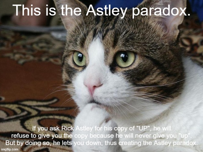 thinking cat | This is the Astley paradox. If you ask Rick Astley for his copy of "UP", he will refuse to give you the copy because he will never give you "up". But by doing so, he lets you down, thus creating the Astley paradox. | image tagged in thinking cat,paradox,memes,funny,fun,why are you reading the tags | made w/ Imgflip meme maker