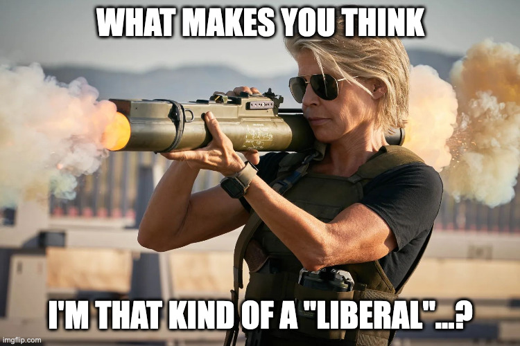 Not That Kind of a Liberal | WHAT MAKES YOU THINK; I'M THAT KIND OF A "LIBERAL"...? | image tagged in sarah connor,terminator dark fate,sarah connor rocket launcher,sarah connor not that kind of a liberal | made w/ Imgflip meme maker