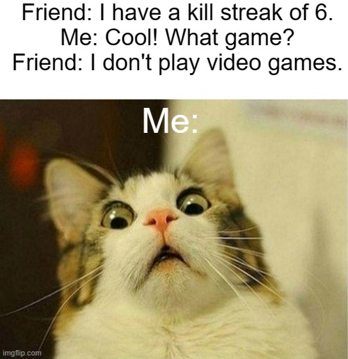 Oh no. | Friend: I have a kill streak of 6.
Me: Cool! What game?
Friend: I don't play video games. Me: | image tagged in text box,memes,scared cat,funny,fun | made w/ Imgflip meme maker