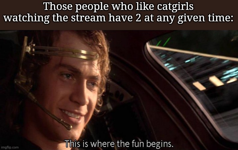 This is where the fun begins | Those people who like catgirls watching the stream have 2 at any given time: | image tagged in this is where the fun begins | made w/ Imgflip meme maker