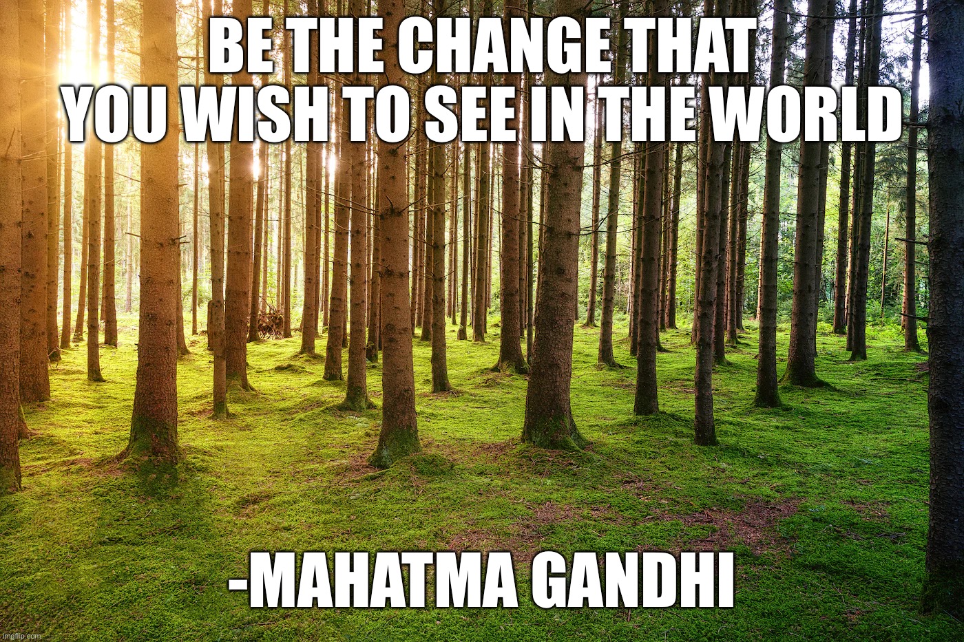 BE THE CHANGE THAT YOU WISH TO SEE IN THE WORLD; -MAHATMA GANDHI | image tagged in memes,motivational | made w/ Imgflip meme maker