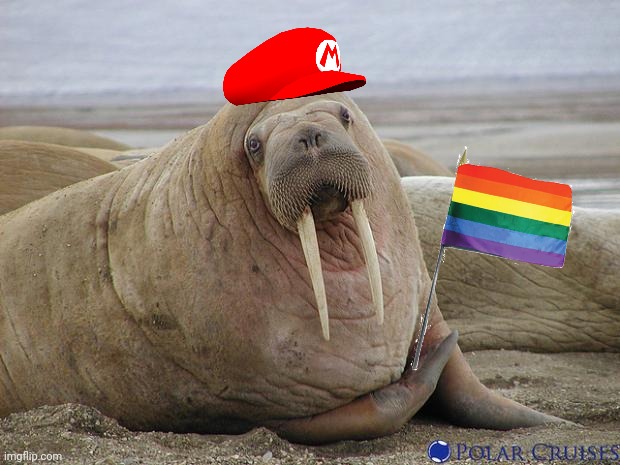 Walrus | image tagged in walrus | made w/ Imgflip meme maker