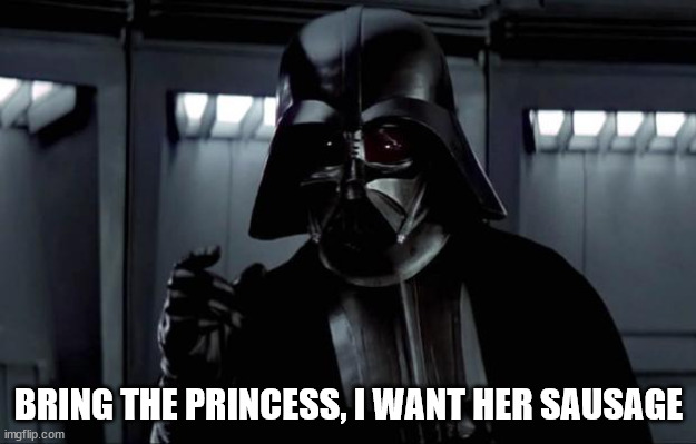 Darth Vader | BRING THE PRINCESS, I WANT HER SAUSAGE | image tagged in darth vader | made w/ Imgflip meme maker