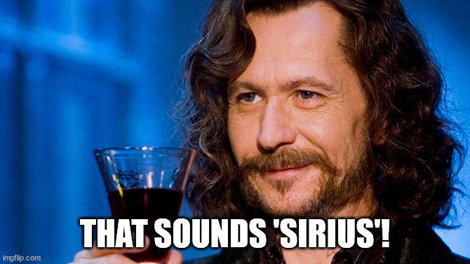 Sirius Black meme | THAT SOUNDS 'SIRIUS'! | image tagged in sirius black meme | made w/ Imgflip meme maker