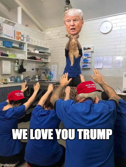 All Hail The Cat | WE LOVE YOU TRUMP | image tagged in all hail the cat | made w/ Imgflip meme maker