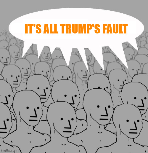 Npc | IT'S ALL TRUMP'S FAULT | image tagged in npc | made w/ Imgflip meme maker