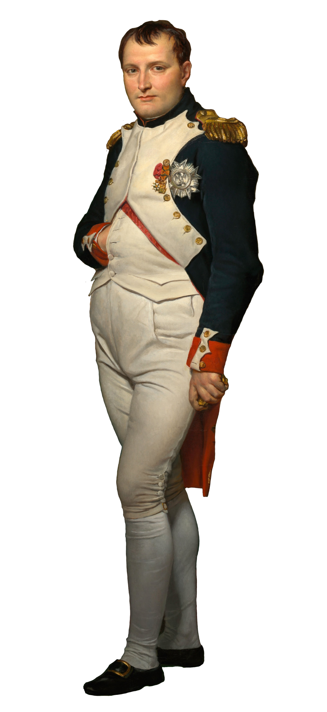 Napoleon Blank Meme Template