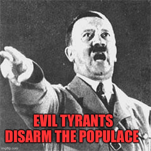 Hitler | EVIL TYRANTS DISARM THE POPULACE | image tagged in hitler | made w/ Imgflip meme maker