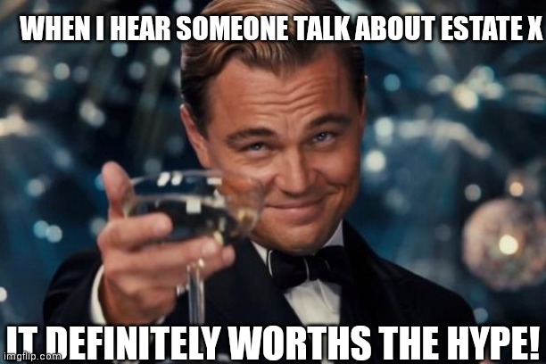 Leonardo Dicaprio Cheers | WHEN I HEAR SOMEONE TALK ABOUT ESTATE X; IT DEFINITELY WORTHS THE HYPE! | image tagged in memes,leonardo dicaprio cheers | made w/ Imgflip meme maker