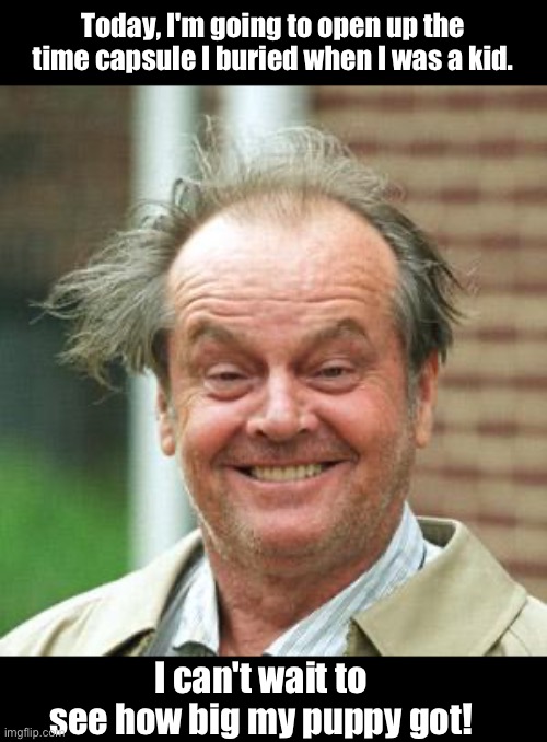 Crazy | Today, I'm going to open up the time capsule I buried when I was a kid. I can't wait to see how big my puppy got! | image tagged in jack nicholson crazy hair | made w/ Imgflip meme maker