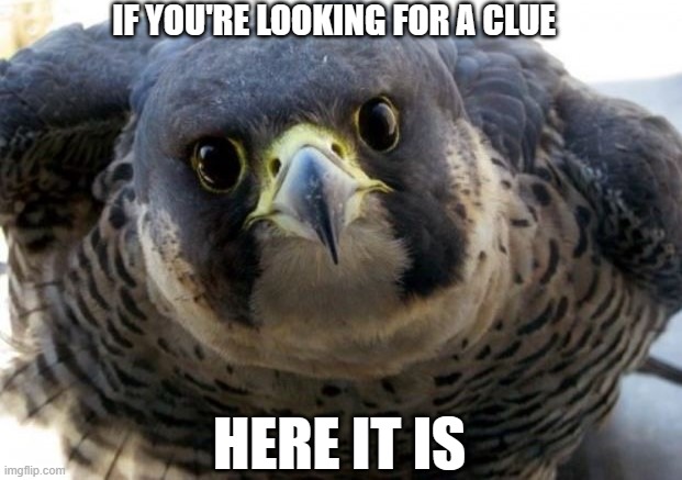 IF YOU'RE LOOKING FOR A CLUE; HERE IT IS | made w/ Imgflip meme maker