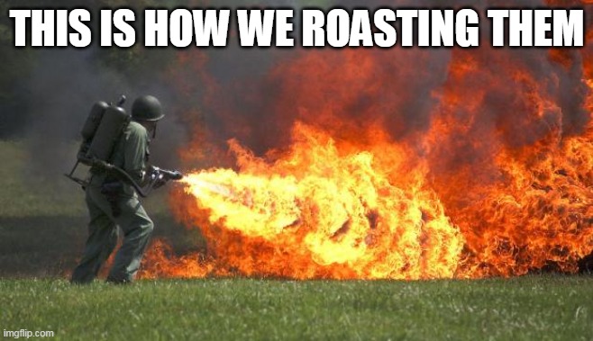 Flame thrower | THIS IS HOW WE ROASTING THEM | image tagged in flame thrower | made w/ Imgflip meme maker
