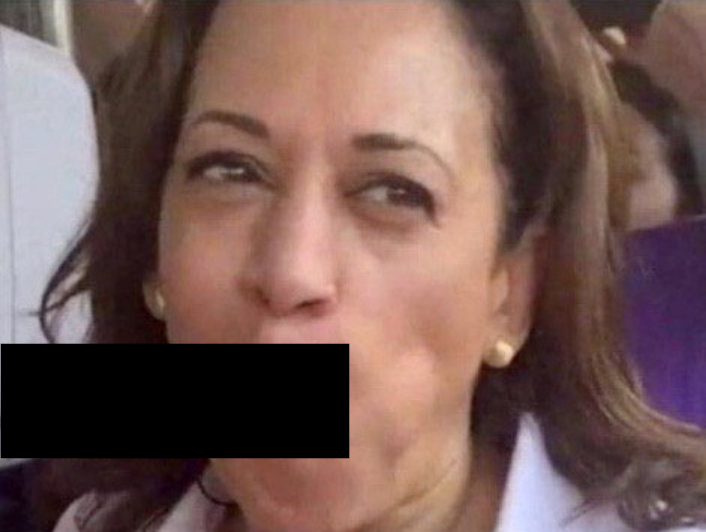 Kamala Sucks Blank Meme Template