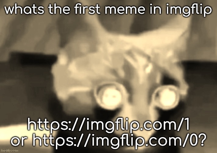 ik its https://imgflip.com/9 but that was the first nondeleted image | whats the first meme in imgflip; https://imgflip.com/1 or https://imgflip.com/0? | image tagged in w,h,a,t,spooky month | made w/ Imgflip meme maker