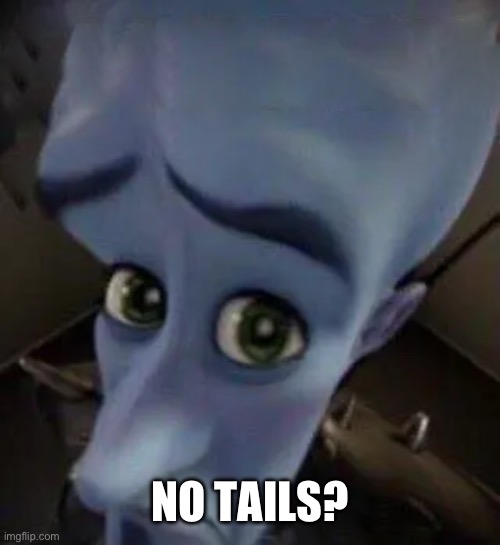 megamind no b | NO TAILS? | image tagged in megamind no b | made w/ Imgflip meme maker