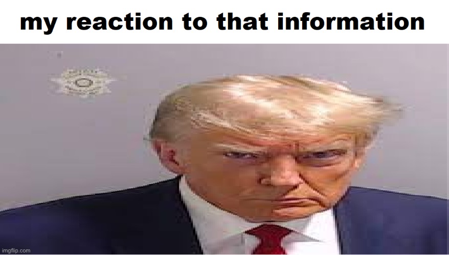 my reaction to that information | image tagged in my reaction to that information | made w/ Imgflip meme maker