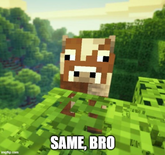 Minecraft cow | SAME, BRO | image tagged in minecraft cow | made w/ Imgflip meme maker