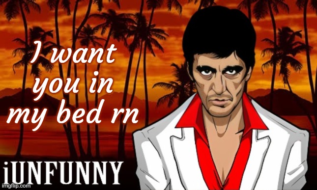 iUnFunny's Scarface template | I want you in my bed rn | image tagged in iunfunny's scarface template | made w/ Imgflip meme maker