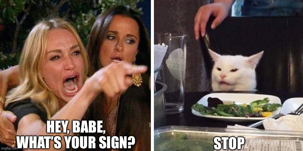 Smudge the cat | HEY, BABE, WHAT’S YOUR SIGN? STOP | image tagged in smudge the cat | made w/ Imgflip meme maker