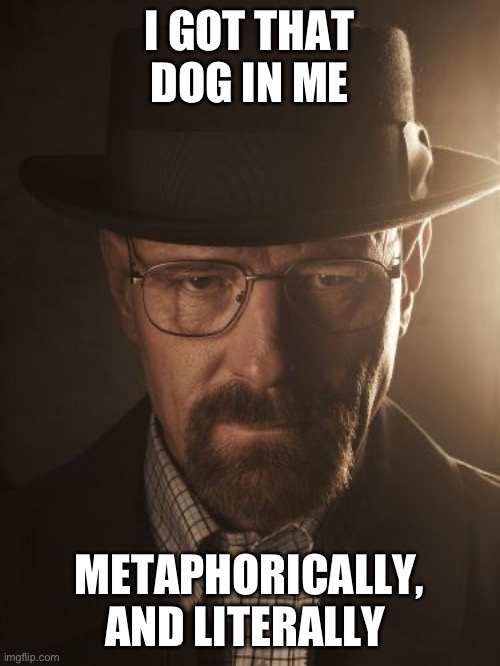 Walter White | I GOT THAT DOG IN ME; METAPHORICALLY, AND LITERALLY | image tagged in walter white | made w/ Imgflip meme maker