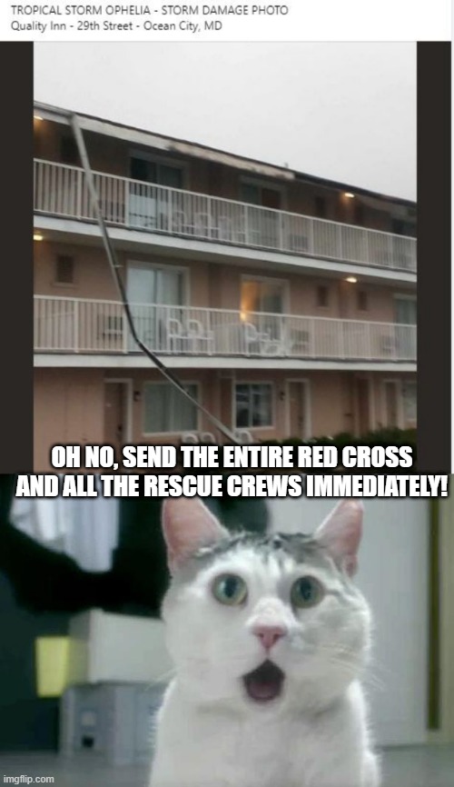 Gee, Damage | OH NO, SEND THE ENTIRE RED CROSS AND ALL THE RESCUE CREWS IMMEDIATELY! | image tagged in memes,omg cat | made w/ Imgflip meme maker