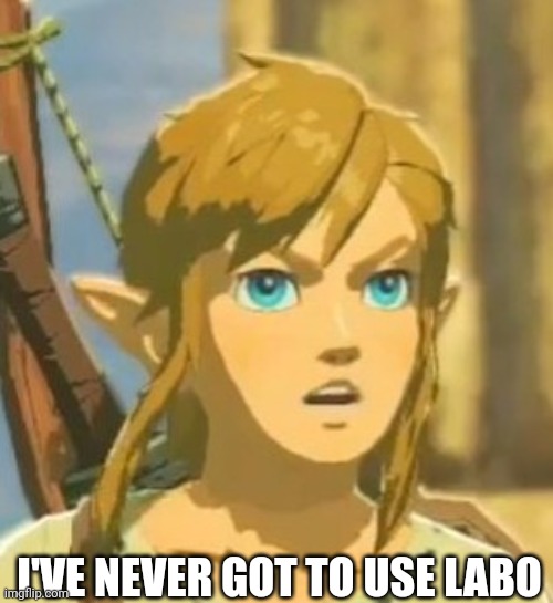 Offended Link | I'VE NEVER GOT TO USE LABO | image tagged in offended link | made w/ Imgflip meme maker