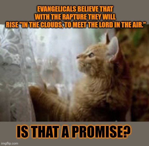 Will the rapture save the planet and the human race? | EVANGELICALS BELIEVE THAT 
WITH THE RAPTURE THEY WILL 
RISE "IN THE CLOUDS, TO MEET THE LORD IN THE AIR."; IS THAT A PROMISE? | image tagged in lolcat,rapture,evangelicals,christianity,think about it,religion | made w/ Imgflip meme maker