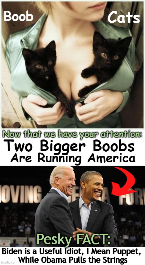 You'd have to be ignorant (or insane) to go along w/ their AGENDA! | Cats; Boob; Now that we have your attention:; Two Bigger Boobs; Are Running America; Pesky FACT:; Biden is a Useful Idiot, I Mean Puppet, 
While Obama Pulls the Strings | image tagged in politics,joe biden,barack obama,open borders,national debt,crime | made w/ Imgflip meme maker