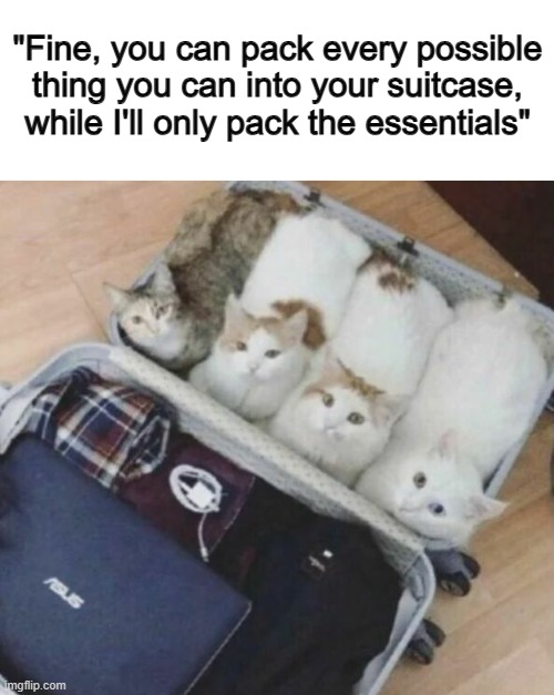 Cats are essential for my cure to sadness ;) | "Fine, you can pack every possible thing you can into your suitcase, while I'll only pack the essentials" | image tagged in bobby hill kids no watermark | made w/ Imgflip meme maker