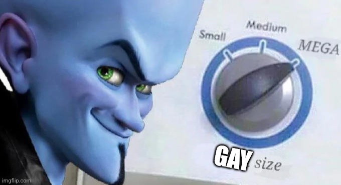 Mega Mind Size | GAY | image tagged in mega mind size | made w/ Imgflip meme maker