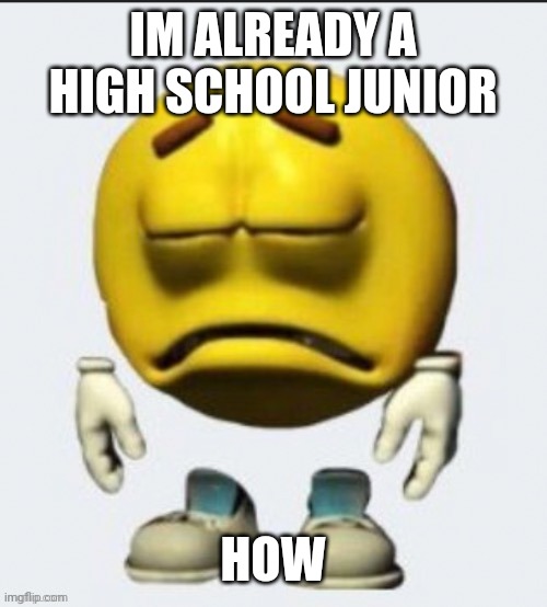 Time is a valuable thing Watch it fly by as the pendulum swings Watch it count down to the end of the day The clock ticks life a | IM ALREADY A HIGH SCHOOL JUNIOR; HOW | image tagged in sad emoji | made w/ Imgflip meme maker