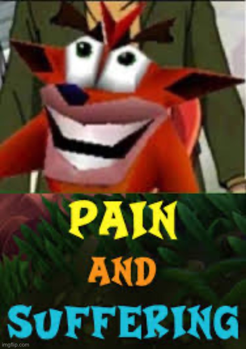 crash bandicoot pain and suffering | image tagged in crash bandicoot pain and suffering | made w/ Imgflip meme maker