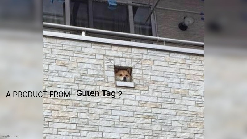 Guten Tag | A PRODUCT FROM ? | image tagged in guten tag | made w/ Imgflip meme maker