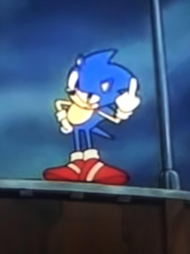 High Quality Sonic middle finger Blank Meme Template