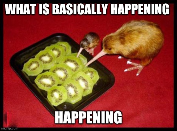 kiwicannibalism | WHAT IS BASICALLY HAPPENING HAPPENING | image tagged in kiwicannibalism | made w/ Imgflip meme maker