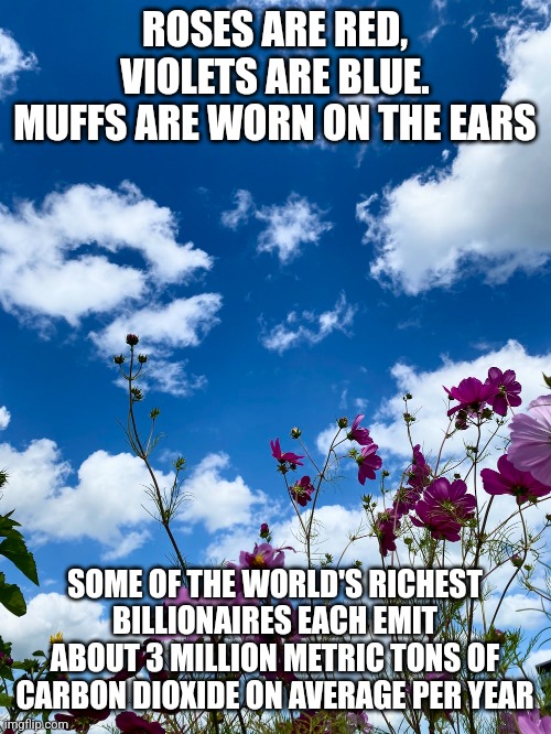 ROSES ARE RED, VIOLETS ARE BLUE.
MUFFS ARE WORN ON THE EARS; SOME OF THE WORLD'S RICHEST BILLIONAIRES EACH EMIT ABOUT 3 MILLION METRIC TONS OF CARBON DIOXIDE ON AVERAGE PER YEAR | image tagged in funny memes | made w/ Imgflip meme maker